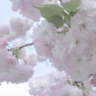 安徽FurryQQ群介绍